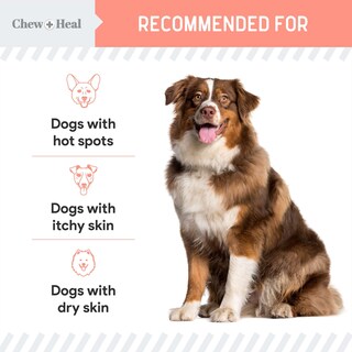 Foto 4 | Foto 4 | Tratamiento Para Puntos Calientes Chew + Heal Natural 60 Ml Para Perros - Venta Internacional.