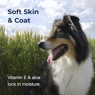 Foto 4 | Foto 4 | Champú Desodorizante Petag Fresh 'n Clean Good Sport 530 Ml Dogs - Venta Internacional.