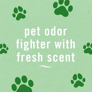 Foto 3 | Foto 3 | Ambientador En Aerosol Febreze Air Mist Hd Pet Odor Fighter 260 Ml - Venta Internacional.