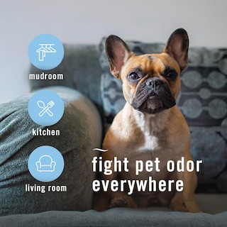 Foto 4 | Foto 4 | Ambientador En Aerosol Febreze Air Mist Hd Pet Odor Fighter 260 Ml - Venta Internacional.