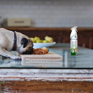 Foto 6 | Foto 6 | Ambientador En Aerosol Febreze Air Mist Hd Pet Odor Fighter 260 Ml - Venta Internacional.