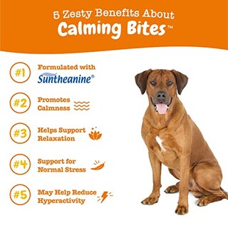 Foto 2 | Foto 2 | Dog Calming Bites Zesty Paws Stress Relief 90 Masticables Blandos - Venta Internacional.