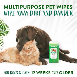 Foto 4 | Foto 4 | Toallitas Para Mascotas Tropiclean Con Aroma A Sandía Para Perros Y Gatos, 100 Unidades - Venta Internacional.