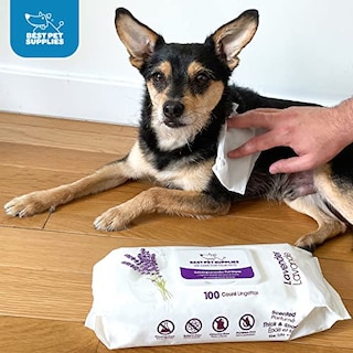 Foto 6 | Foto 6 | Toallitas De Aseo Para Mascotas Best Pet Supplies, Paquete De 100 Para Perros Y Gatos - Venta Internacional.