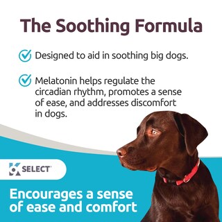 Foto 2 | Foto 2 | Masticables Calmantes De Melatonina K9 Select Composure Para Perros  6 Mg  90 Tabletas - Venta Internacional.