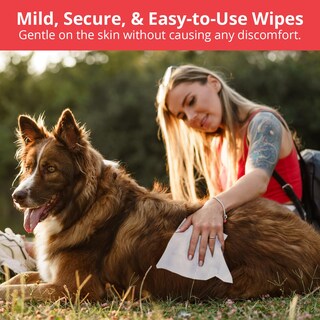 Foto 6 | Foto 6 | Toallitas Limpiadoras Noveha Xl Con Aloe Para Perros Y Gatos 120 Unidades - Venta Internacional.