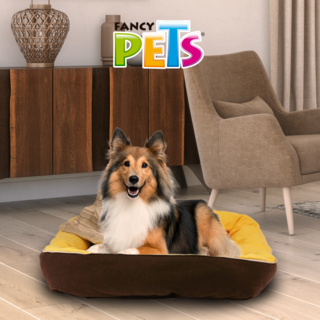 Foto 3 | Foto 3 | Cama para Mascotas Fancy Pets Multicolor Grande con Frazada y Juguete