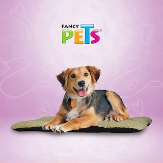 Foto 3 | Foto 3 | Tapete para Transportar Perros Fancy Pets color Beige Tamaño Extra Grande