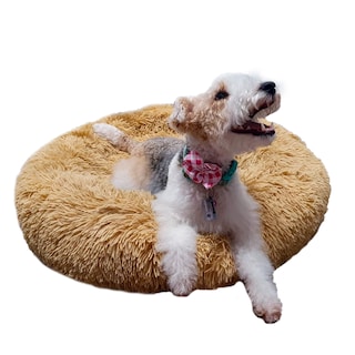 Foto 1 | Foto 1 | Cama para Mascotas Perro, Gato Tv Ofertas Peaceful Pooch Beige única con cierre,Desmontable,fácil retiro de funda y lavado L