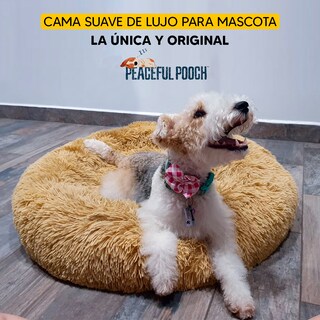 Foto 7 | Foto 7 | Cama para Mascotas Perro, Gato Tv Ofertas Peaceful Pooch Beige única con cierre,Desmontable,fácil retiro de funda y lavado L