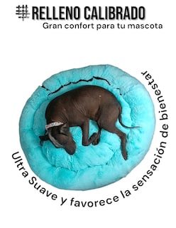 Foto 4 | Foto 4 | Cama para Mascotas Lunics color Verde Jumbo Confortable Antiestrés