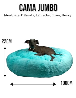 Foto 5 | Foto 5 | Cama para Mascotas Lunics color Verde Jumbo Confortable Antiestrés