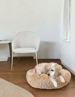 Foto 8 | Foto 8 | Cama para Mascotas Lunics color Beige Chica Confortable Antiestrés