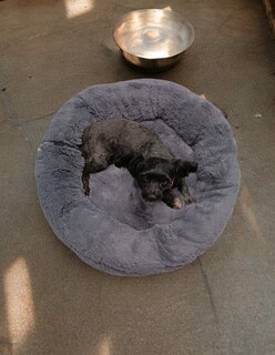 Foto 8 | Foto 8 | Cama para Mascotas Lunics color Gris Grande Confortable Antiestrés