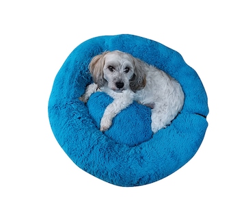 Foto 3 | Foto 3 | Cama Anti Estrés Lunics CA-ANCHAZTU color Azul Turquesa Chica