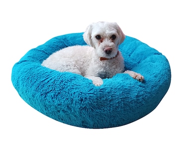 Foto 4 | Foto 4 | Cama Anti Estrés Lunics CA-ANCHAZTU color Azul Turquesa Chica