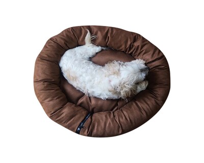 Foto 4 | Foto 4 | Cama Lunics Casumdch color Café para Mascota