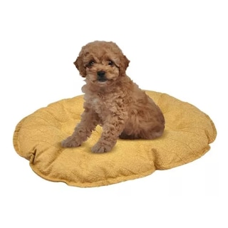 Foto 2 | Foto 2 | Cojín Fancy Pets para Cama de Plástico para Perro Tamaño Chico Varios Colores