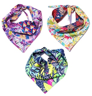 Foto 1 | Foto 1 | Bandanas Para Perros Set De 3 Piezas Talla Chica - Botanical