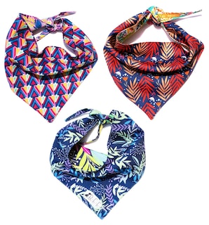 Foto 2 | Foto 2 | Bandanas Para Perros Set De 3 Piezas Talla Chica - Botanical