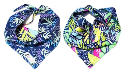 Foto 3 | Foto 3 | Bandanas Para Perros Set De 3 Piezas Talla Chica - Botanical