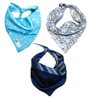 Foto 1 | Foto 1 | Bandanas Para Perros Set De 3 Piezas Talla Chica - Tribal Azul