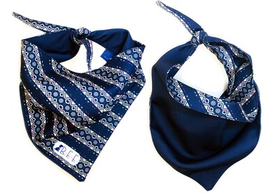 Foto 3 | Foto 3 | Bandanas Para Perros Set De 3 Piezas Talla Chica - Tribal Azul