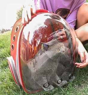 Foto 3 | Foto 3 | Mochila Transportadora Portátil Roja para Mascotas