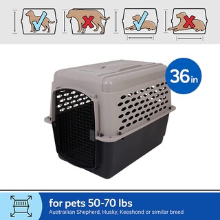 Foto 3 | Foto 3 | Transportadora Pet Mate 21949 Ultra Kennel para Perros