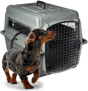 Foto 3 | Foto 3 | Transportadora Pet Mate 100 Gris 21\" para Perros
