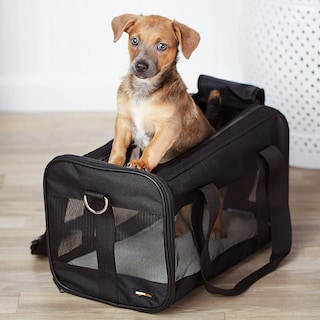 Foto 7 | Foto 7 | Transportadora de Viaje AmazonBasics amzsc-002 Malla Suave para Mascotas