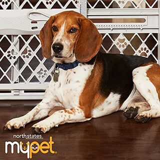 Foto 7 | Foto 7 | Recinto Para Mascotas Mypet Petyard De North States, 6 Paneles, 18.5 Pies² - Venta Internacional.
