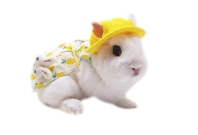 Foto 1 | Foto 1 | Set De Ropa Pet Bunny Para Conejos, Conejillos De Indias Y Mascotas Pequeñas - Venta Internacional.