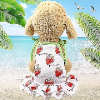 Foto 1 | Foto 1 | Conjunto De Camiseta Y Falda Con Estampado De Frutas Para Perros Y Gatos - Venta Internacional.