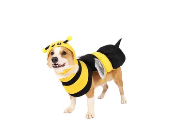 Foto 4 | Foto 4 | Disfraz De Abeja Para Mascotas, Perros, Creaciones Espeluznantes Con Sombrero De Abeja 3d - Venta Internacional.