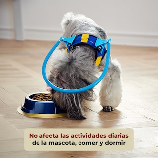 Foto 3 | Foto 3 | Arnés Protector para Perros Ciegos Anticolisión Talla Xxs