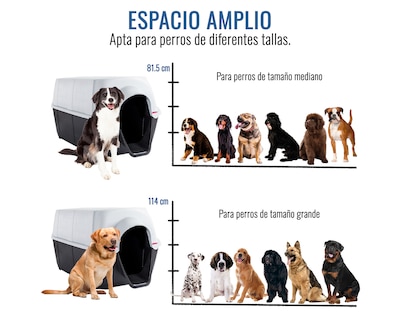 Foto 5 | Foto 5 | Casa De Perro Dion G