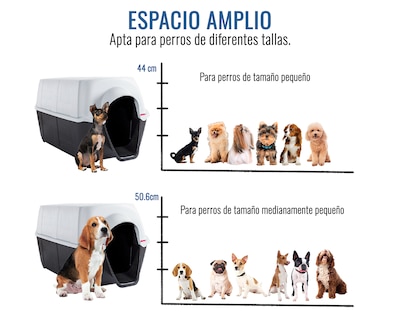 Foto 4 | Foto 4 | Casa De Perro Dion Xch