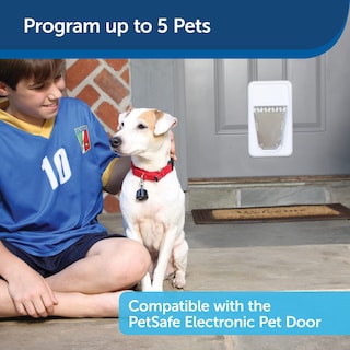 Foto 4 | Foto 4 | Smartkey Para Puerta Inteligente Electrónica Petsafe Para Perros Y Gatos - Venta Internacional.