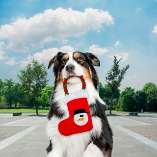 Foto 3 | Foto 3 | Juguete para Mascotas de Figura Navideñas Multicolor de Tela Suave Relleno Delcron