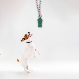 Foto 3 | Foto 3 | Juguetes para Mascotas Cordones Hidrantes Chillones Paquete 3 Piezas de Vinil Altamente Resistente