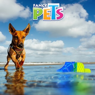 Foto 3 | Foto 3 | Paleta Congelable para Perro Fancy Pets FL8792 Reutilizable