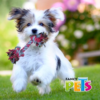 Foto 2 | Foto 2 | Juguete de Hueso para Perro Fancy Pets FL7256 25 Cm Multicolor