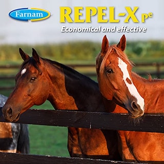 Foto 4 | Foto 4 | Insecticida Y Repelente Farnam Repel-x Para Caballos Y Perros - Venta Internacional.
