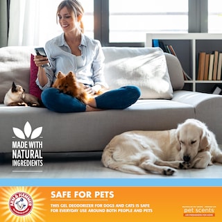 Foto 3 | Foto 3 | Desodorizador De Habitación Con Brazo Y Martillo Para Mascotas Fresh Breeze - Venta Internacional.