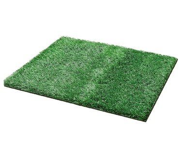 Foto 1 | Foto 1 | Tapete Entrenador para Perro 46 x 71 cm Eo Safe Imports Esi-8843 Verde