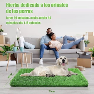 Foto 4 | Foto 4 | Tapete Entrenador para Perro 46 x 71 cm Eo Safe Imports Esi-8843 Verde