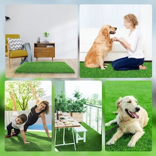 Foto 5 | Foto 5 | Tapete Entrenador para Perro 46 x 71 cm Eo Safe Imports Esi-8843 Verde