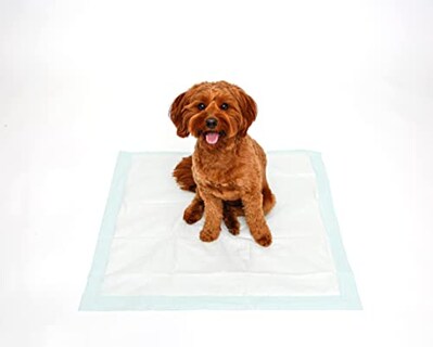 Foto 4 | Foto 4 | Almohadillas Para Perros Hartz Home Protection, Eliminadoras De Olores, Xxl, 20 Unidades - Venta Internacional.