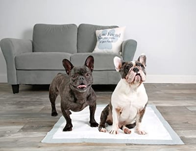 Foto 7 | Foto 7 | Almohadillas Para Perros Hartz Home Protection, Eliminadoras De Olores, Xxl, 20 Unidades - Venta Internacional.